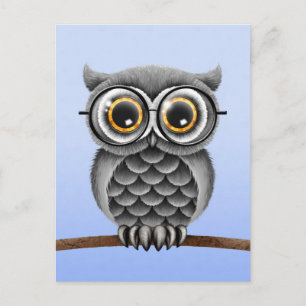 Postal Lechuza gris suave y suave con gafas, azul claro