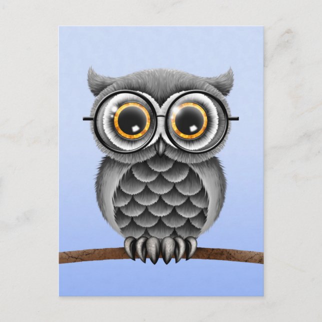 Postal Lechuza gris suave y suave con gafas, azul claro (Anverso)