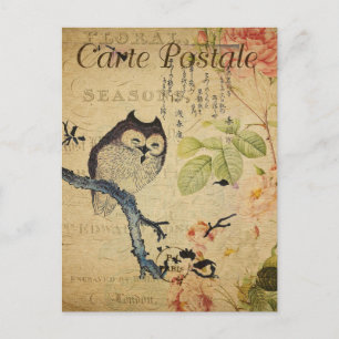 Postal Lechuza rosa rosa de color vintage, francés