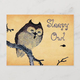 Postal Lechuza Sleepy Vintage