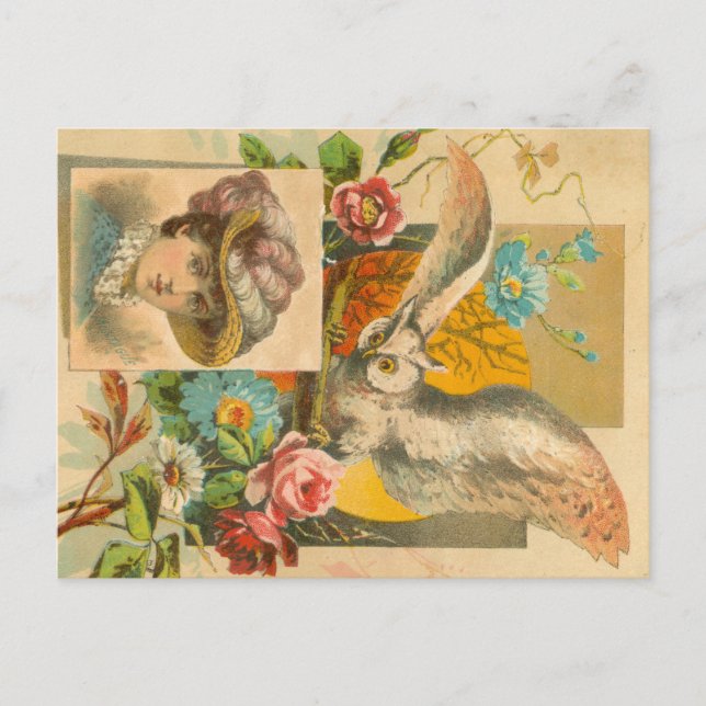 Postal Lechuza victoriana (Anverso)