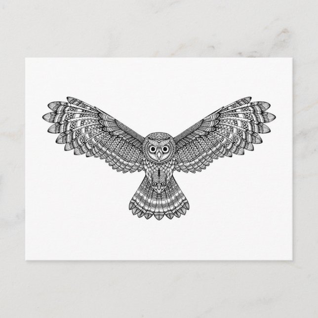 Postal Lechuza voladora Zendoodle (Anverso)