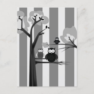 Postal Lechuzas blancas y negras