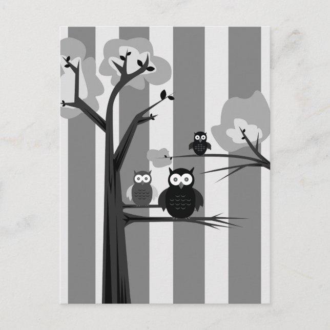 Postal Lechuzas blancas y negras (Anverso)