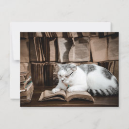 Postal Lectura de gato en el paso de anteojos