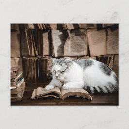 Postal Lectura de gato en el paso de anteojos
