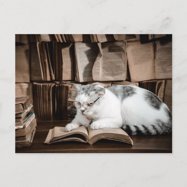 Postal Lectura de gato en el paso de anteojos (Anverso)