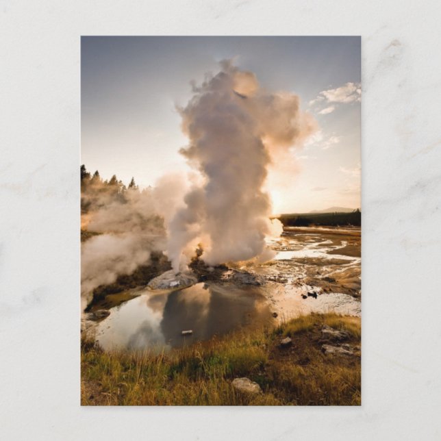 Postal Ledge Geyser, Cuenca Norris Geyser (Anverso)