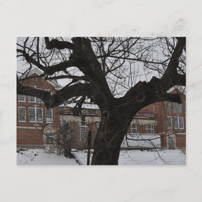 Postal Lee High (Anverso)