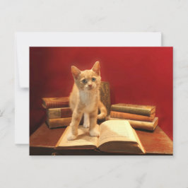 Postal Leer gatos quedarse en libros después de cruzar