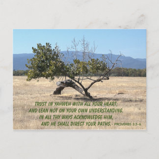 Postal Leer no en su propio entendimiento