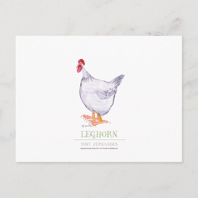 Postal LEGHORN HEN, tony fernandes (Anverso)