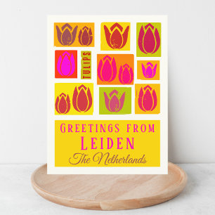 Postal Leiden Noordholland Países Bajos tulip Postcard