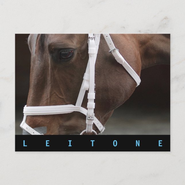Postal Leitone (Anverso)