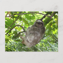 Postal Lema relajado en la naturaleza