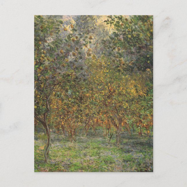 Postal Lemon Grove en Bordighera por Claude Monet (Anverso)