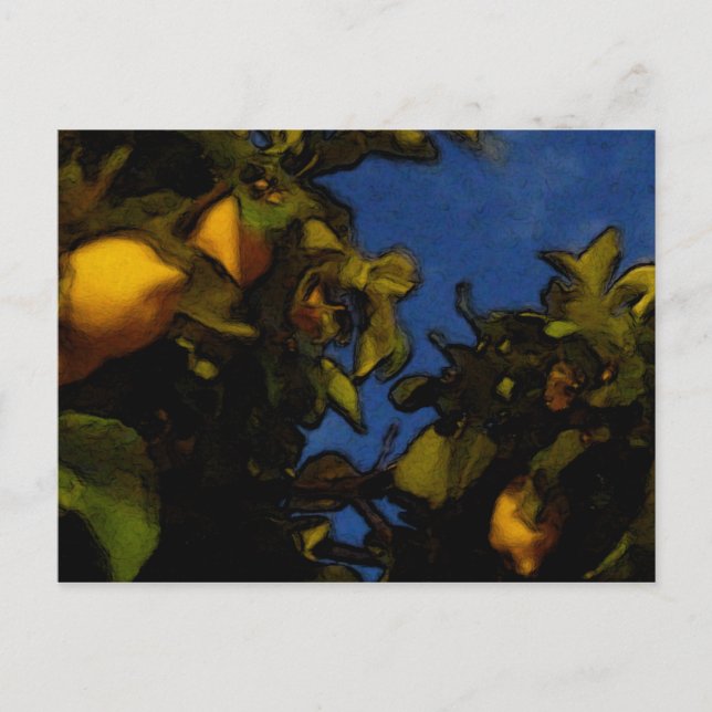 Postal Lemon luck (Anverso)