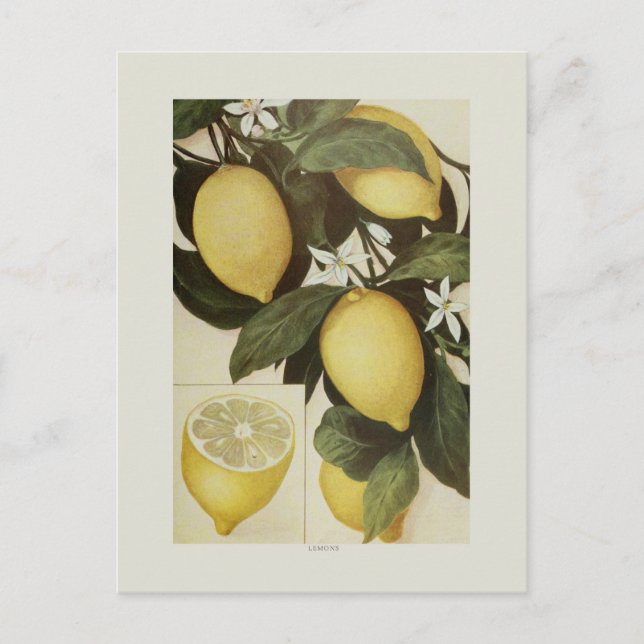 Postal Lemones (Anverso)