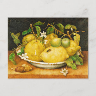 POSTAL LEMONES DE FRUTAS DE TEMPORADA Y FLORES BLANCOS