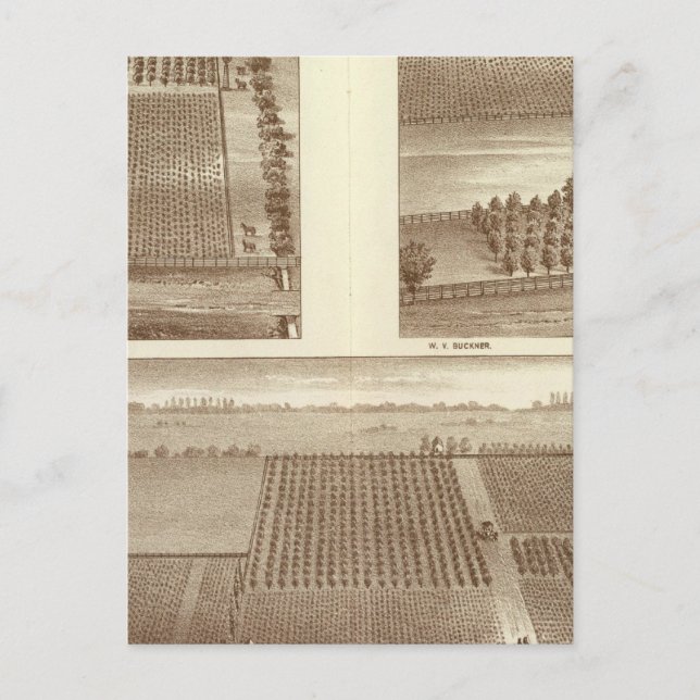 Postal Lemoore ranchos (Anverso)