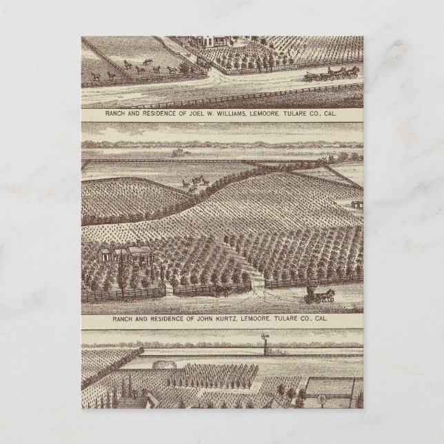 Postal Lemoore, ranchos de Armona (Anverso)