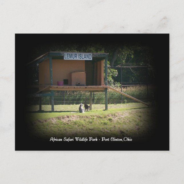 Postal Lemur de Lemur, parque de vida salvaje afri (Anverso)