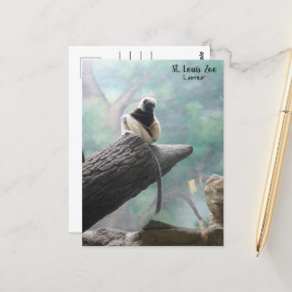 Postal Lemur del Zoológico de St. Louis