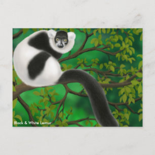 Postal Lemur negro y blanco espumoso