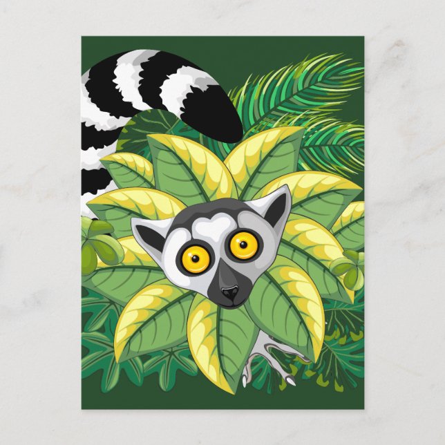 Postal Lemures de Madagascar en la selva exótica