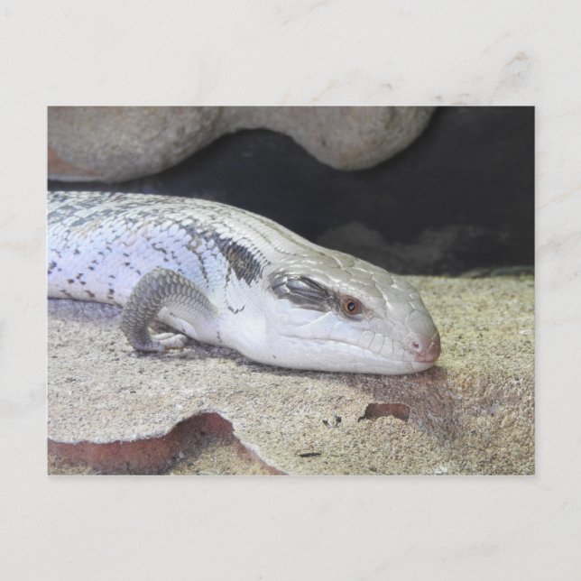 Postal Lengua azul (Anverso)