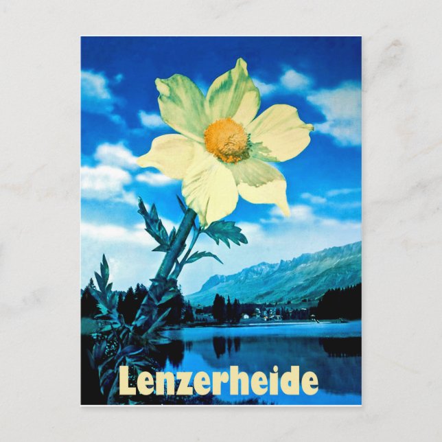 Postal Lenzerheide, Suiza, flor de verano en el lago (Anverso)