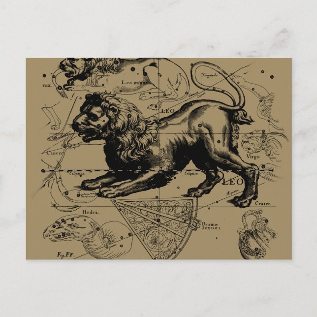 Postal Leo Constellation Map Hevelius circa 1690 (Anverso)