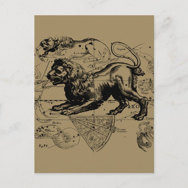 Postal Leo Constellation Map Hevelius circa 1690 (Anverso)