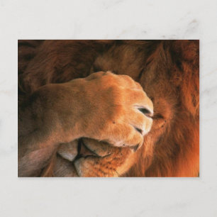 Postal León