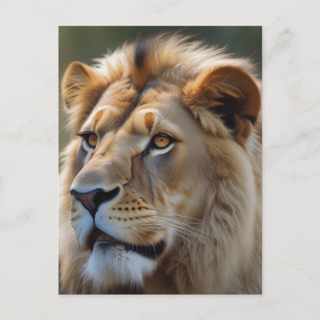 Postal León (Anverso)
