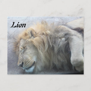 Postal León