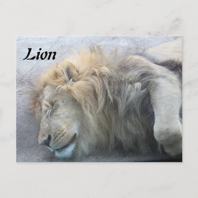 Postal León (Anverso)