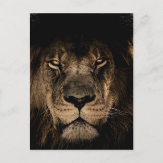 Postal León africano