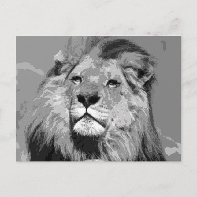 Postal León africano blanco y negro (Anverso)