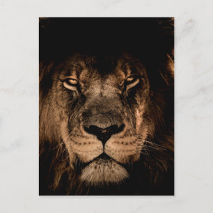 Postal león africano mane eye