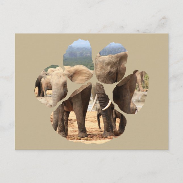 Postal León de la vida salvaje africano pincha elefantes  (Anverso)