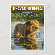 León en el Delta del Okavango Botsuana