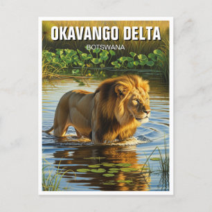 Postal León en el Delta del Okavango Botsuana