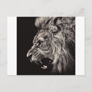 Postal León Macho Enojado