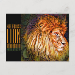 Postal León [postal]