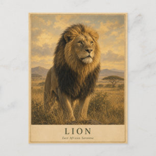 Postal León sabana de África Oriental VINTAGE
