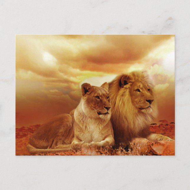 Postal León y leona (Anverso)