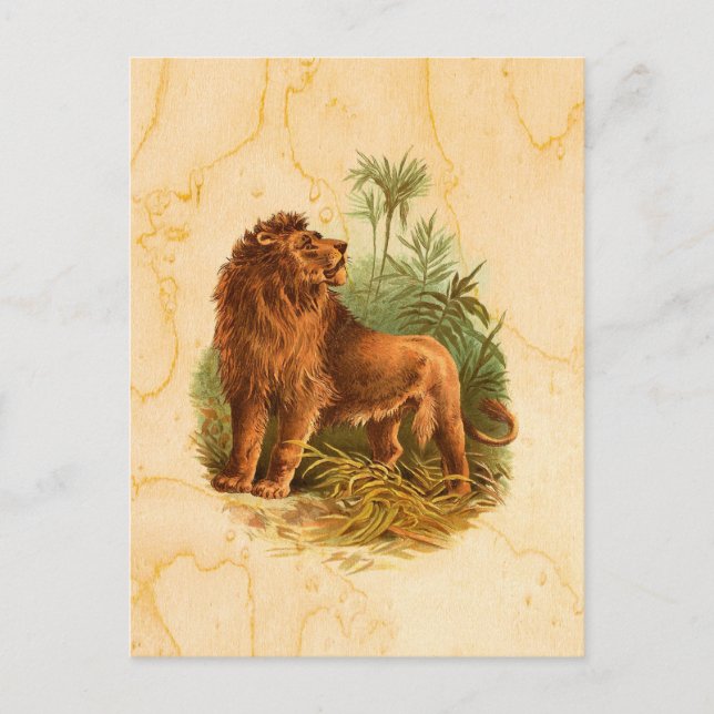 Postal León y palmeras Vintage (Anverso)