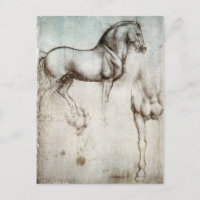 Leonardo da Vinci - Estudio de un caballo