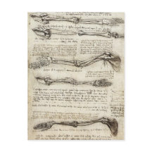 Leonardo da Vinci - Estudios del arte artístico de